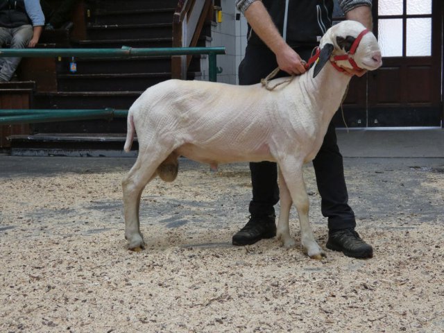 DE010998440078 BY-KW